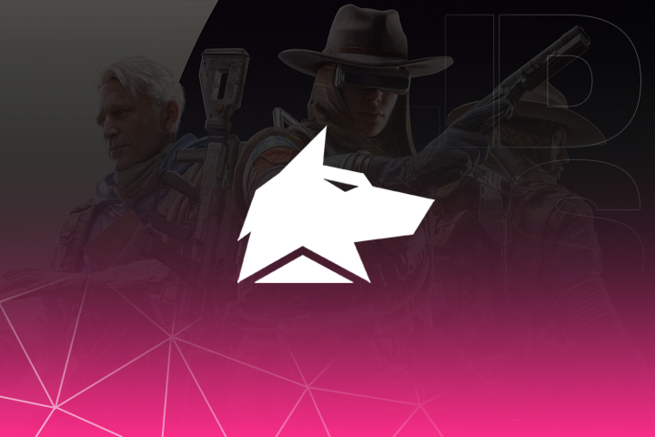 Fecurity: Arc Raiders Software