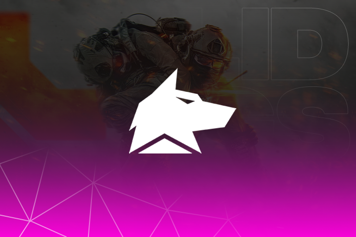 Fecurity: Battlefield 6 Software