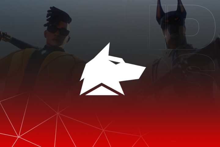 Fecurity: Fortnite Software