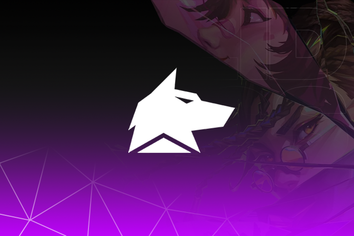 Fecurity: Fragpunk